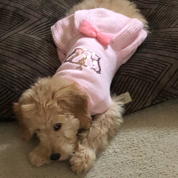 Meet your Posher, Julie - Picture 1 of 1